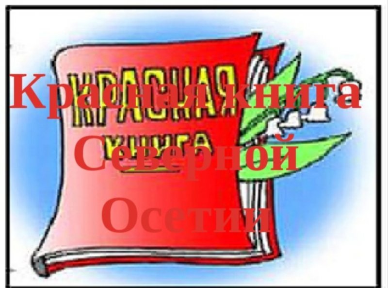 Видеопрезентация о Красной книге РСО-Алания